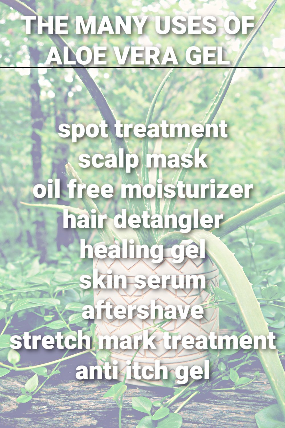 Aloe Vera Skin Benefits and Uses