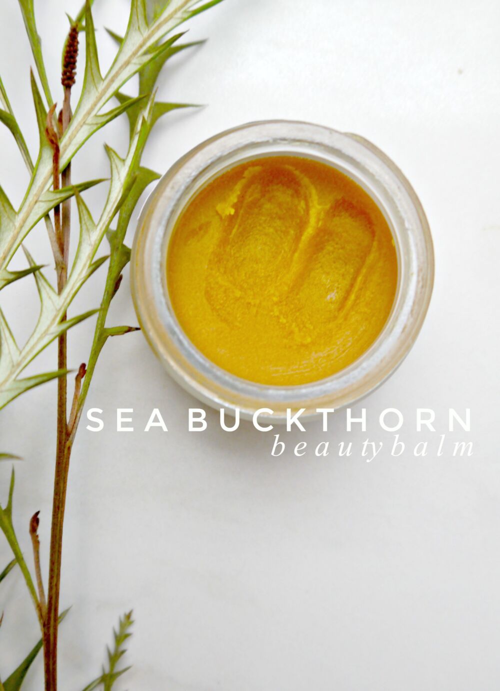 DIY Sea Buckthorn Balm