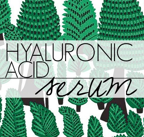 DIY hyaluronic acid serum recipe