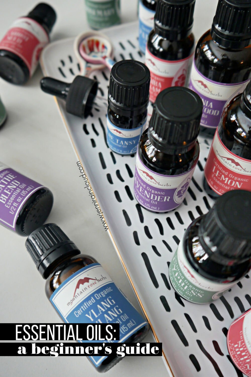 a beginner's guide to essential oils