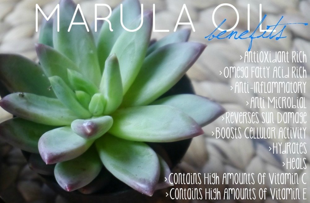 Marula Oil Benefits