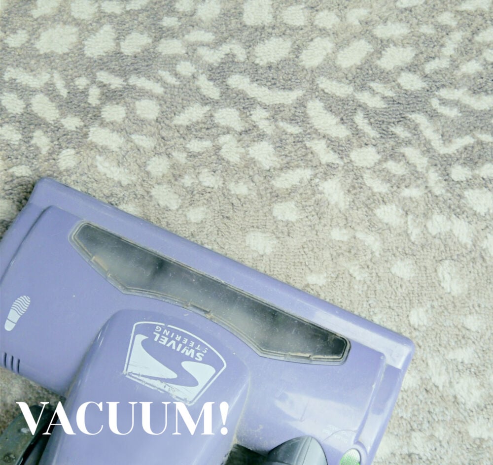 Purple vacuum vacuuming rug.